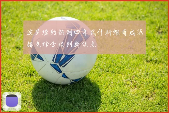 波罗续约热刺四年武什科维奇成范赫克转会谈判新焦点
