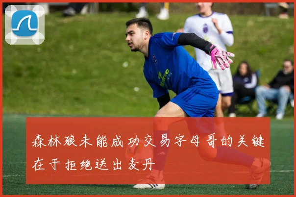 森林狼未能成功交易字母哥的关键在于拒绝送出麦丹